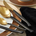 Image 3 of DiNA Evolve 24Pc Stainless Steel Flatware Set, Black and Gold