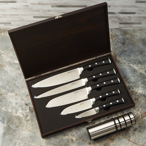 BergHOFF Antigua 7Pc Stainless Steel Cutlery Set with Wood Storage Case - Kitchen Knives