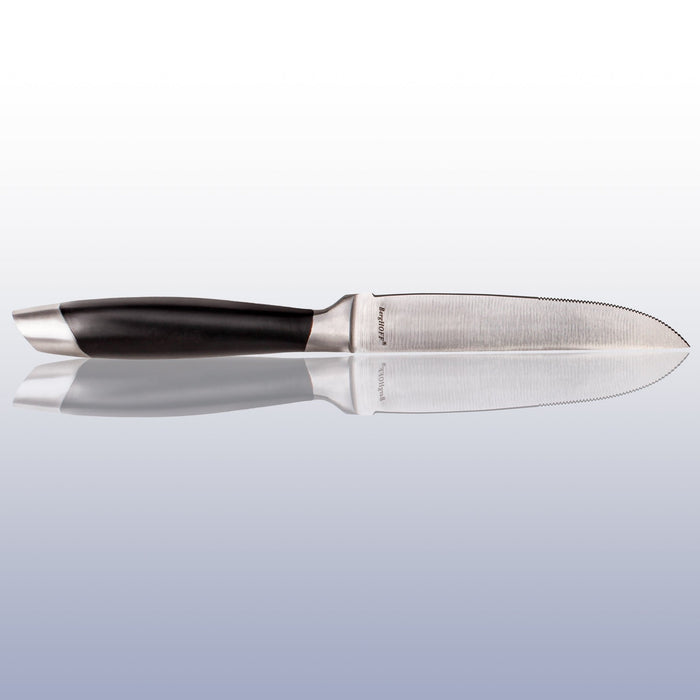 BergHOFF Essentials Geminis 12Pc Stainless Steel Steak Knife Set, 4.75" - Kitchen Knives
