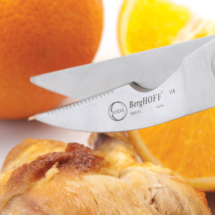 BergHOFF 4pc Turkey Baster and Poultry Shears Set - Basters