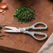 BergHOFF Leo Slate 8.25" Stainless Steel Scissors - Kitchen Shears