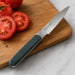 BergHOFF Elements Stainless Steel 4.5" Serrated Utility Knife, Green - Kitchen Knives
