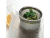 Image 3 of Dorado 5.5 Cups 4Pc Glass Teapot